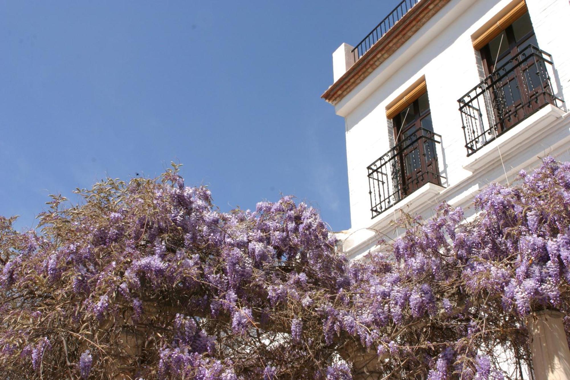 Carmen De La Alcubilla Del Caracol Hotel Granada Kültér fotó